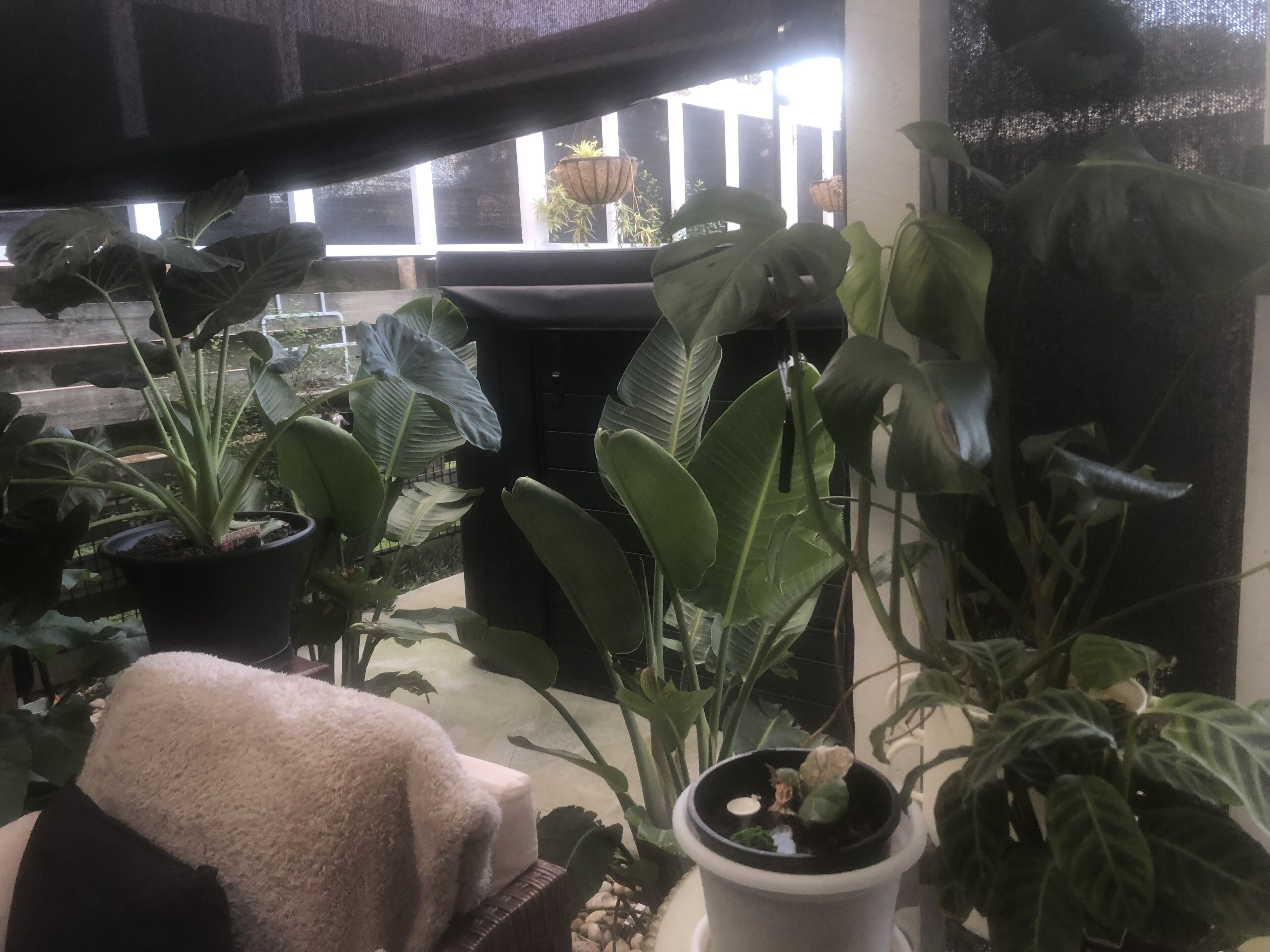 Apartment 1 bedroom, with jacuzzi