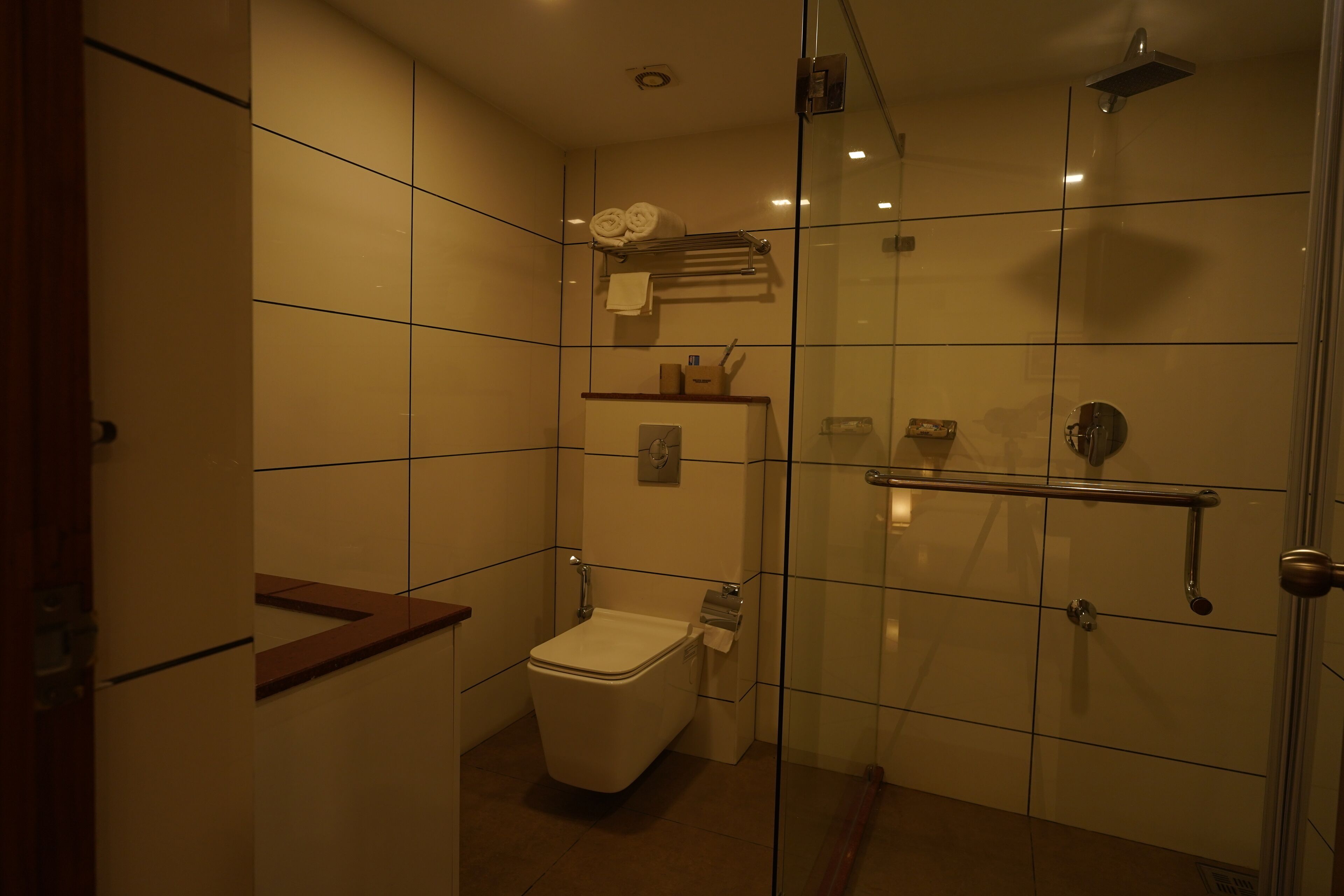 A small, modern bathroom with a toilet, a glass shower enclosure, and a towel rack.