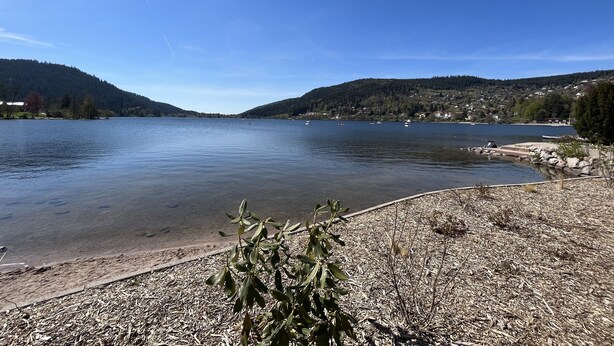 A calm lake with a clear sky, surrounded by hills and sparse vegetation.