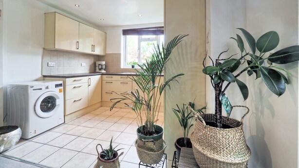 Une cuisine moderne équipée d’un lave-linge, de placards et de plantes en pot.