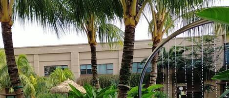 A swimming pool area with palm trees and a building in the background.