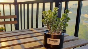 Una mesa de madera con una planta en maceta con la etiqueta 'BOTANICAL' en un balcón con vistas a la ciudad.