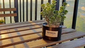 A wooden table with a potted plant labeled "BOTANICAL" on a balcony with a city view.