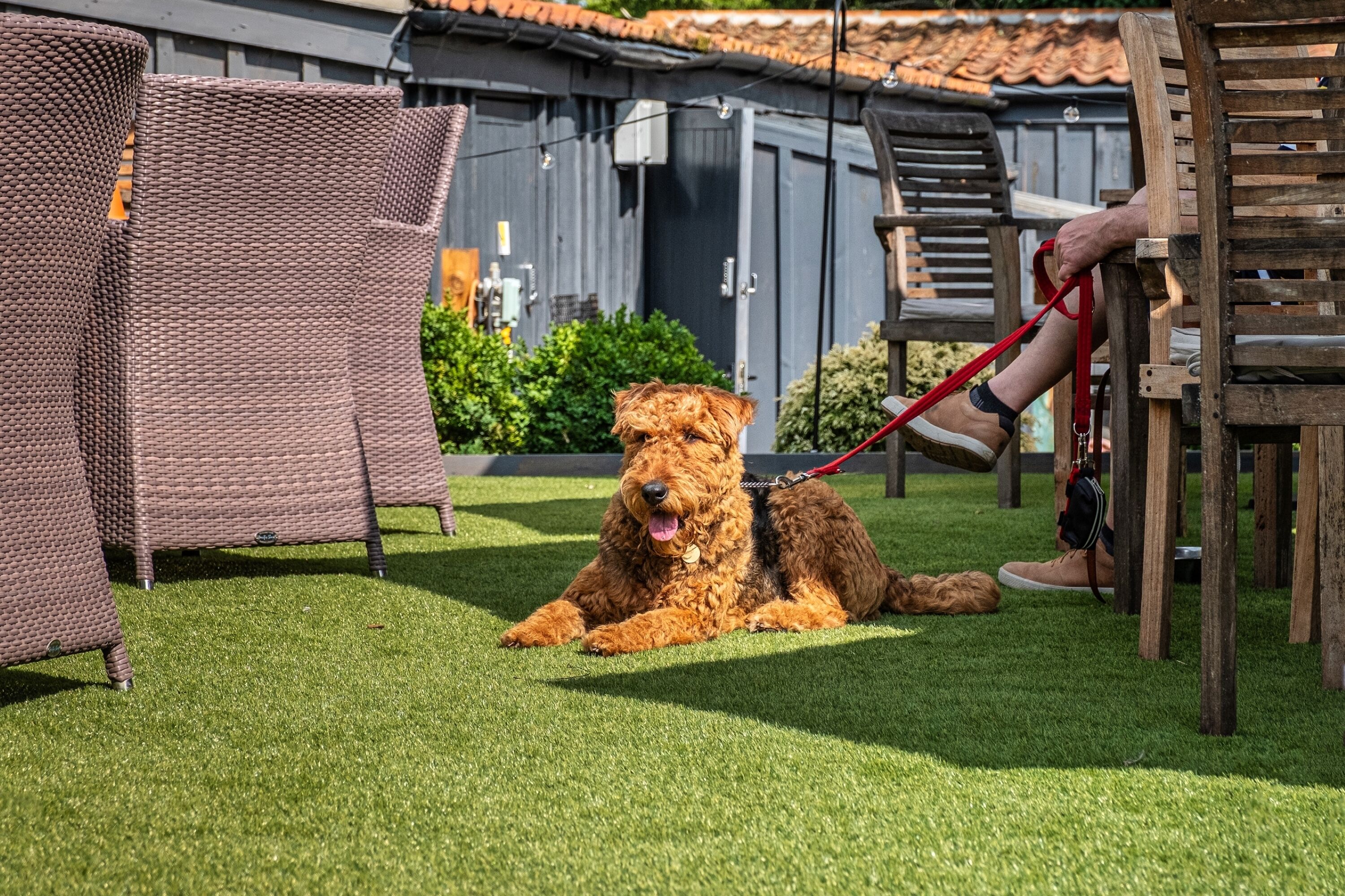 Pet-friendly