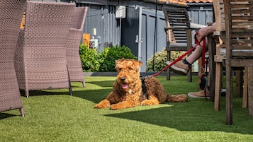 Pet-friendly