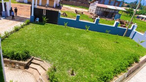 Un patio con suelo empedrado, un pequeño jardín y un edificio de techo rojo.