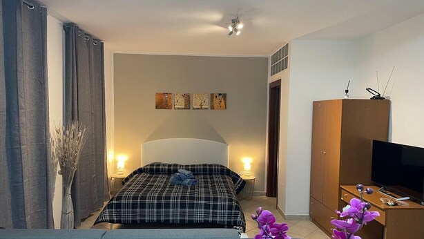 A hotel room with a bed, bedside lamps, a TV, a wardrobe, and a vase of flowers.