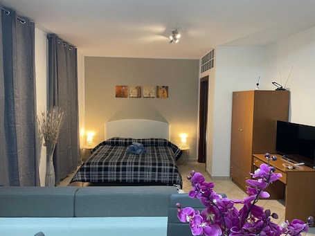 1 bedroom, iron/ironing board, WiFi, bed sheets. Civic2 Large studio apartment in the center