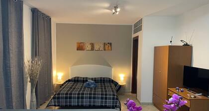 Civic2 Large studio apartment in the center