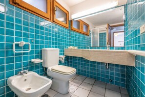 Shower, hair dryer, bidet, towels