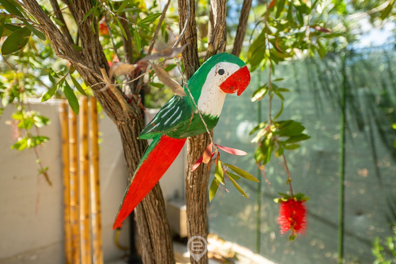 Un comedero para pájaros colgado de una rama de árbol.