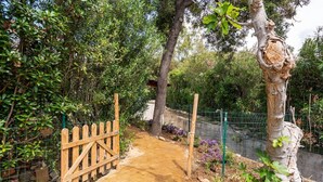 Un vialetto lastricato che si snoda attraverso un giardino con un cancello in legno e un’area recintata.