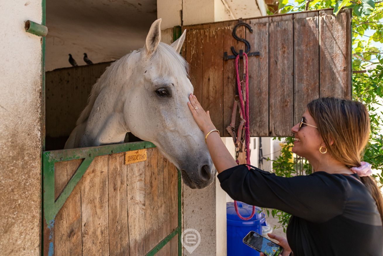 A person petting a white horse inside a stable with wooden doors and a metal gate.
