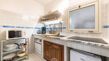 KĂŒhlschrank, Mikrowelle, Herdplatte, GeschirrspĂŒler