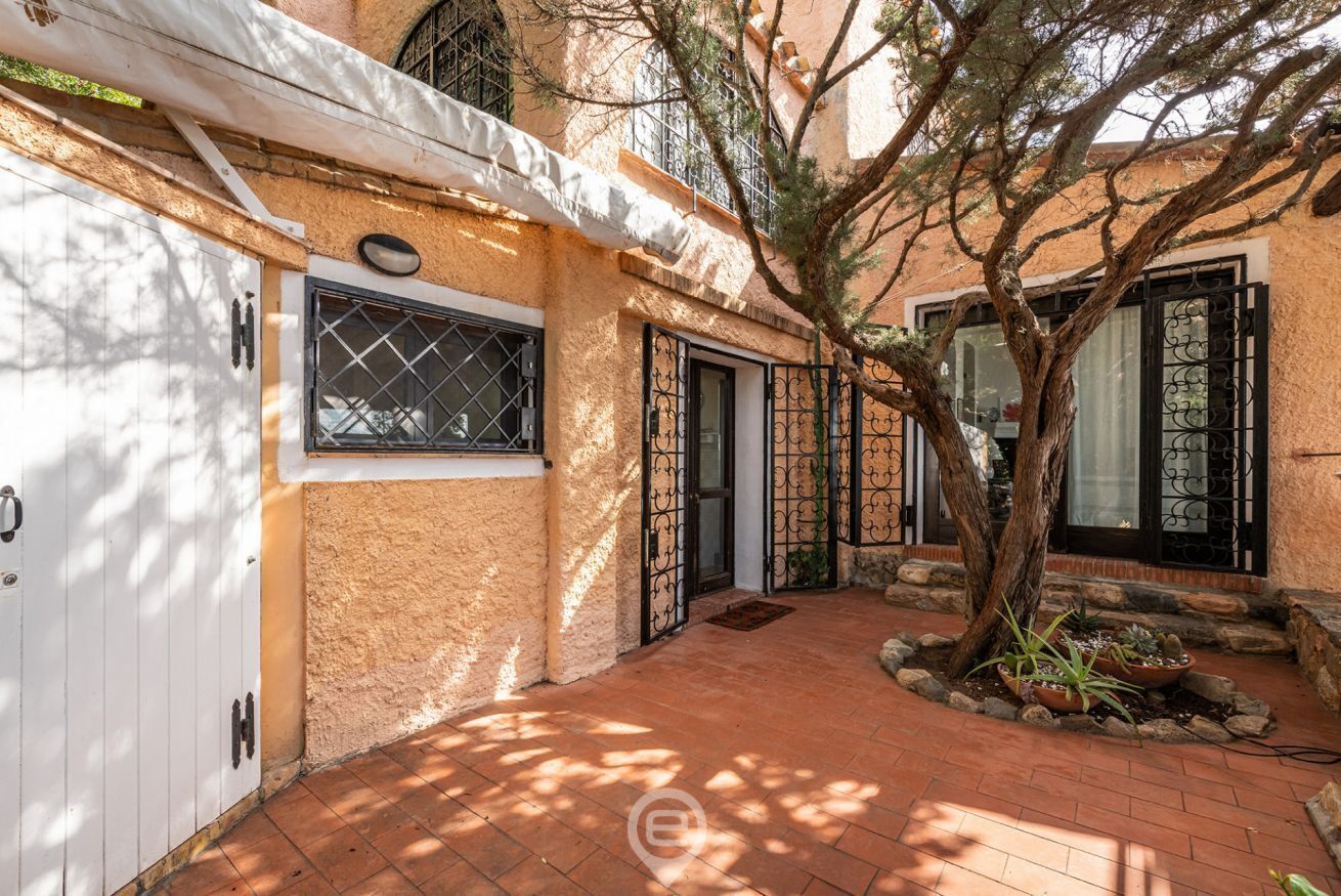 A courtyard with a tree, a white door, and a window with a metal grille.