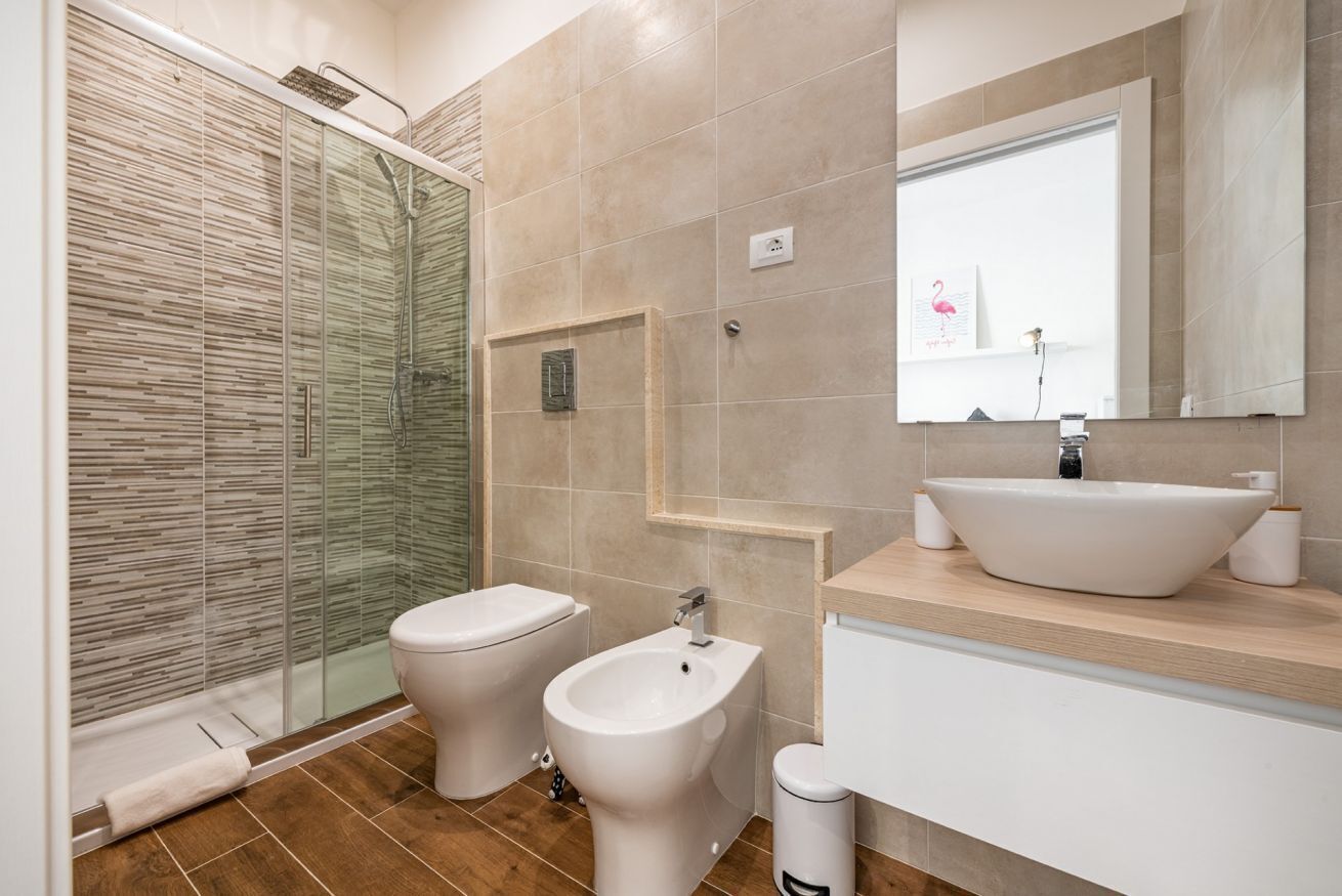 Shower, hair dryer, bidet, towels