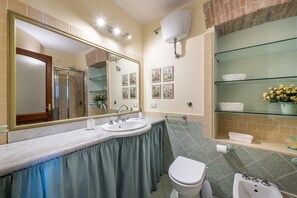 Shower, hair dryer, bidet, towels