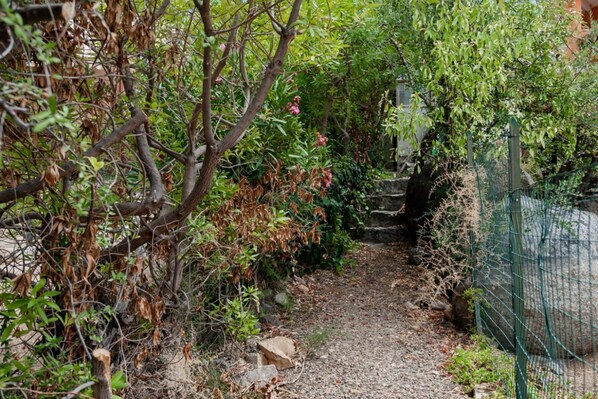 A narrow, gravel path flanked by dense foliage and a green fence.