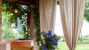 Ein rustikaler Raum mit einer hölzernen Bank, einem Fenster mit Blick auf Grünflächen und einer Vase mit blauen Blumen.