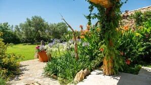 A stone pathway leading to a wooden pergola with climbing plants and flowering plants.