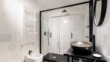 Shower, hair dryer, bidet, towels