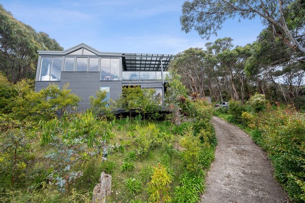 A modern house with a large glass window, surrounded by lush greenery and a gravel path.