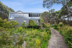 Una casa moderna con un amplio ventanal, rodeada de abundante vegetación y un camino de grava.