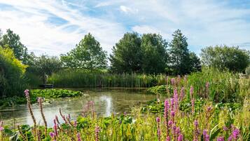 A serene pond surrounded by lush greenery and trees.