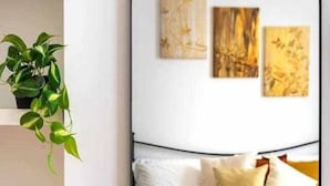 Une chambre à coucher avec un lit, des oreillers et une plante.