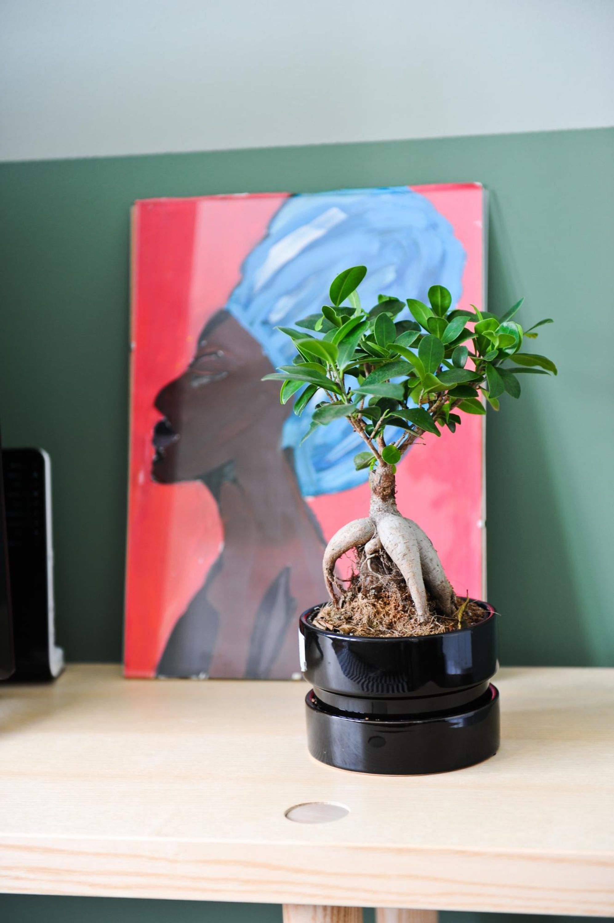 Ein Bonsai-Baum in einem schwarzen Topf auf einem Holztisch.