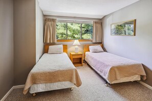 Condo, 1 King Bed with Sofa bed (Pinnacle A17) - Pinnacle A17 (Killington)