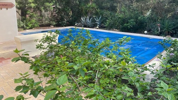 Una piscina rodeada de abundante vegetación y un muro de piedra.