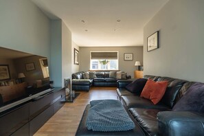 TV, fireplace, offices