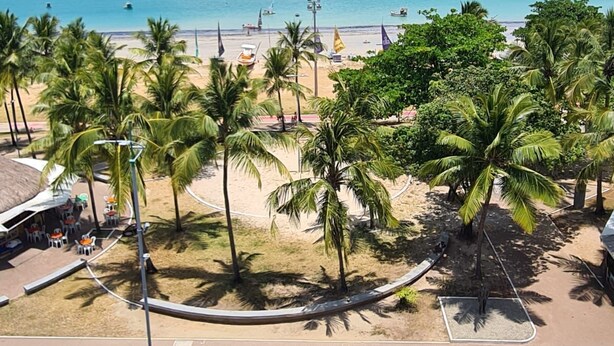 Blick auf einen Strand mit Palmen, feinem Sand und dem Meer.