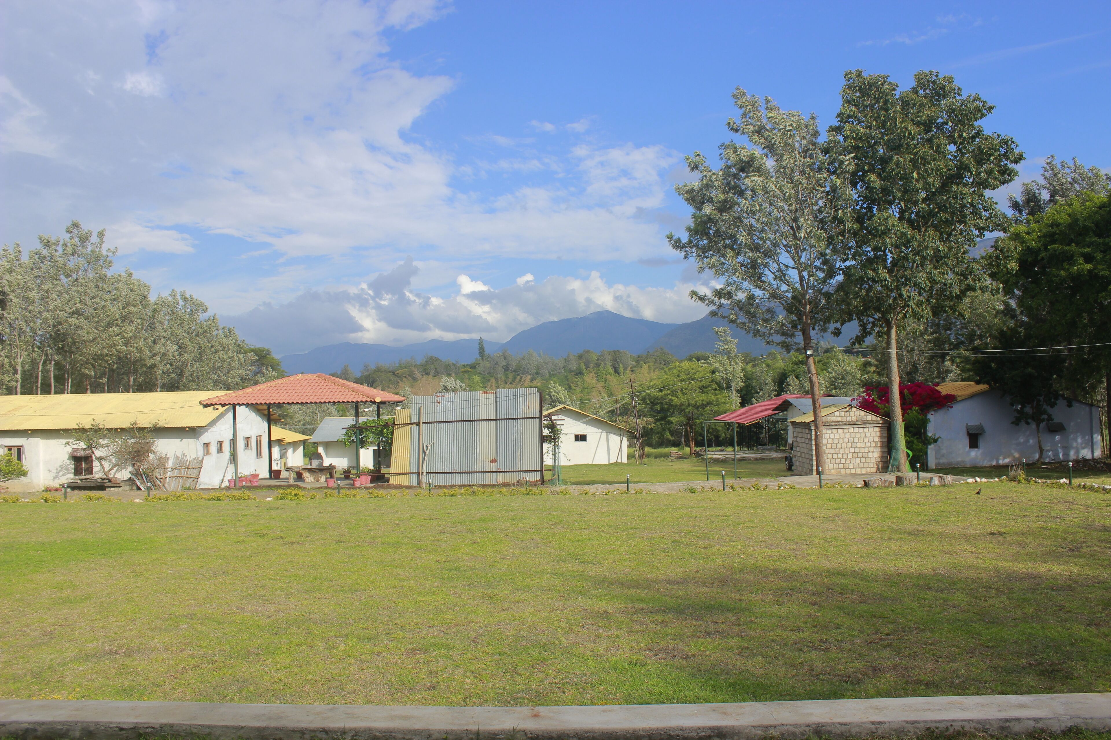 Deluxe Room | Garden view