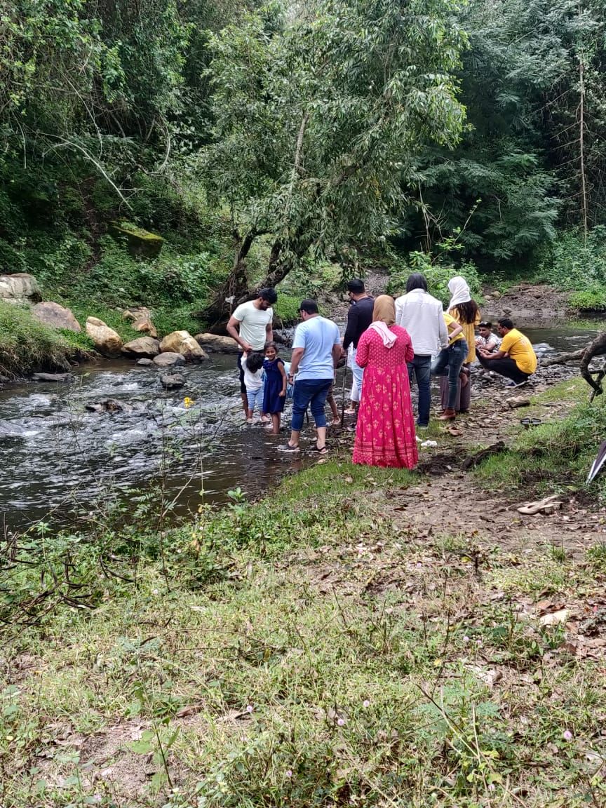 A group of people standing by a river in a forested area.