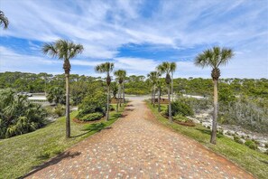 A paved pathway flanked by palm trees and greenery, leading towards a distant building.