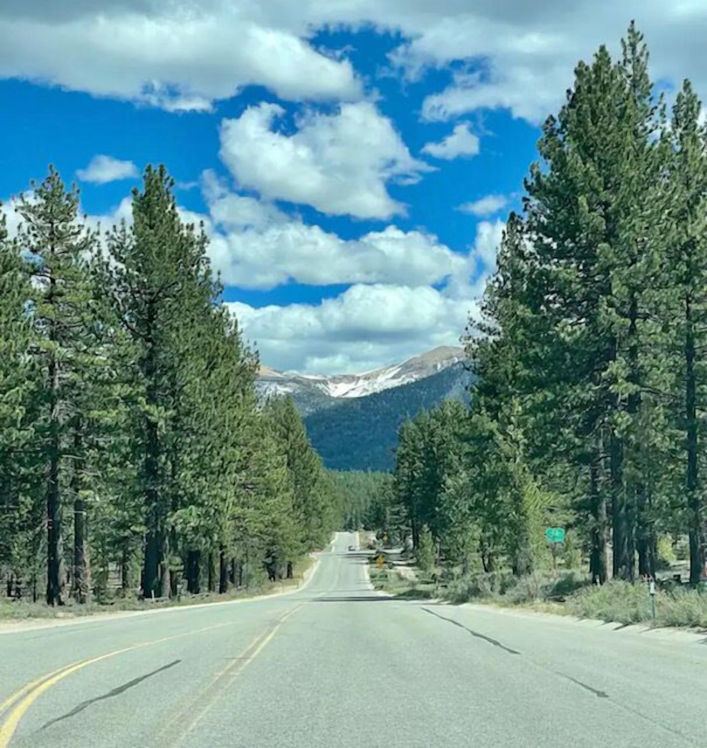 Mv44 6 minute drive to Heavenly