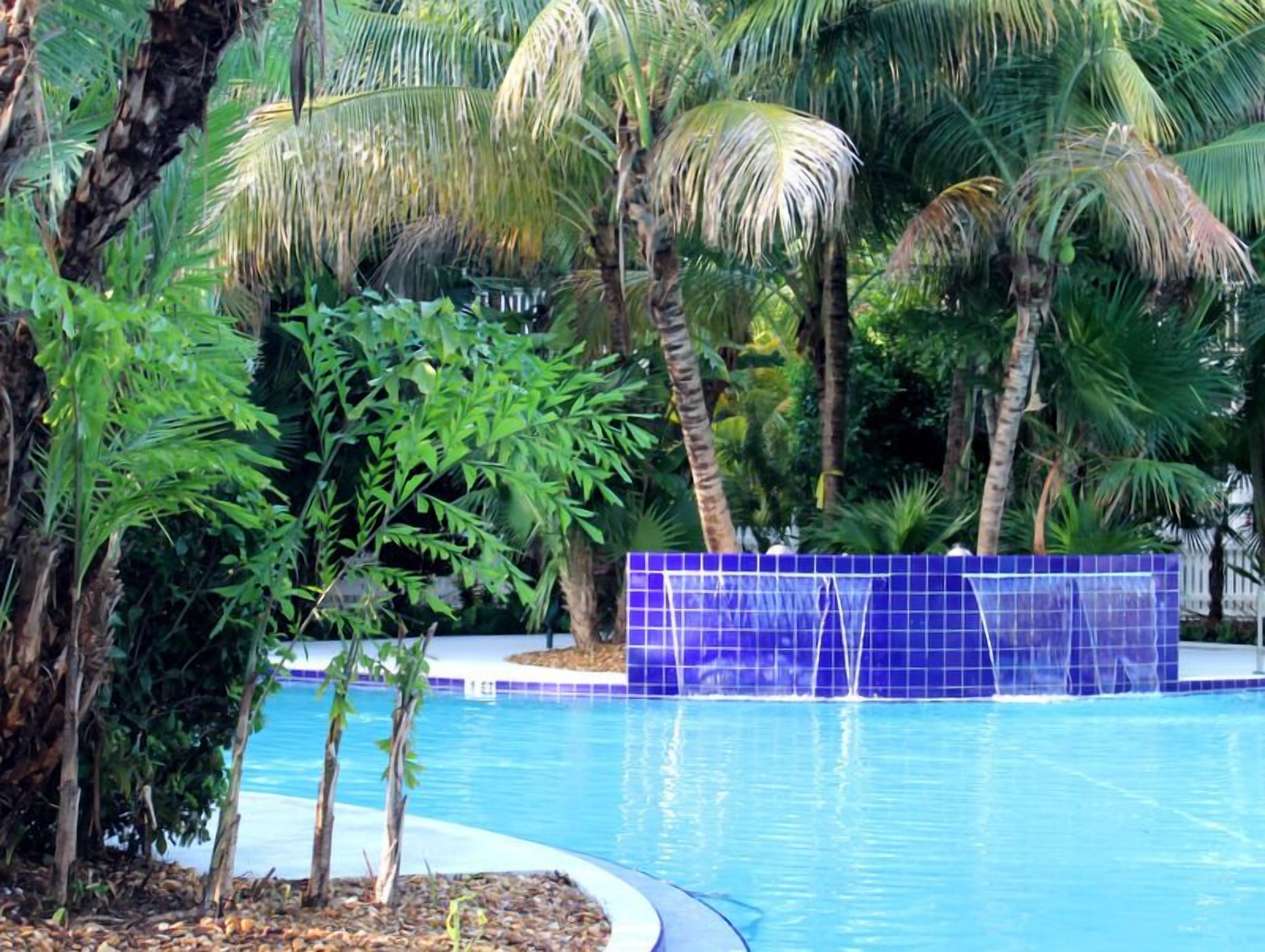 A swimming pool surrounded by palm trees and tropical plants.