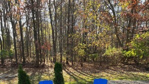 A circular seating arrangement around a fire pit with blue chairs and a small tree in a forested area. - 3- Bedroom Bungalow 20 Minutes From ND Campus (Elkhart)