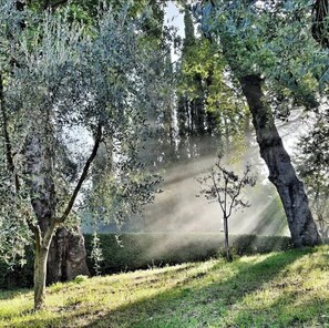 Property grounds - Il Maniero Country House (Cetona)