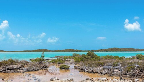 Peaceful Retreat, Lagoon Views, Near the Beach