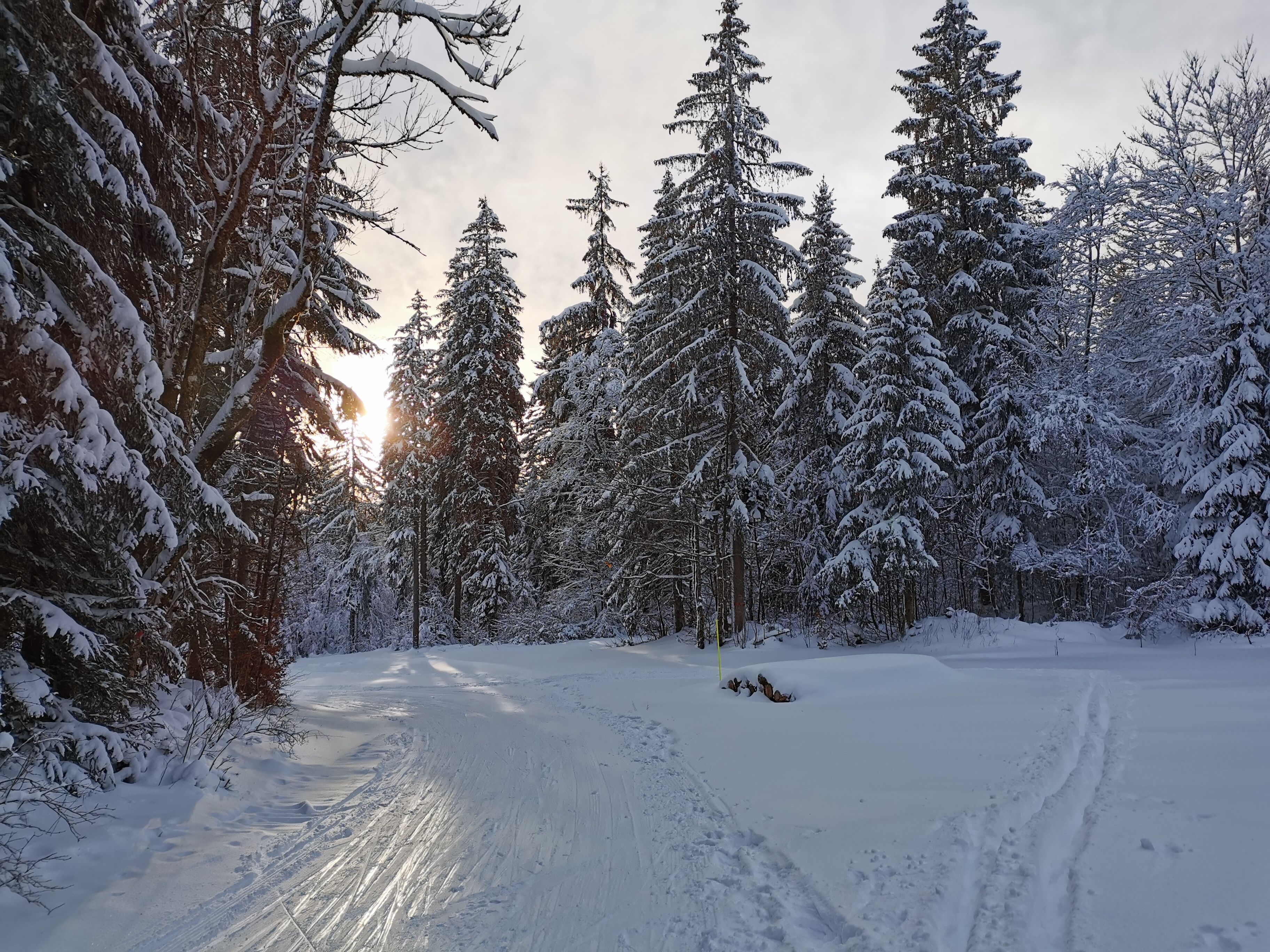 Sports d’hiver