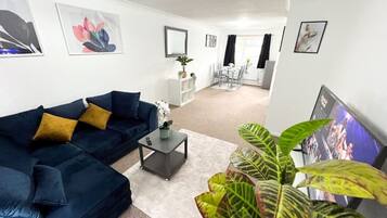 Smart TV, Netflix, streaming services