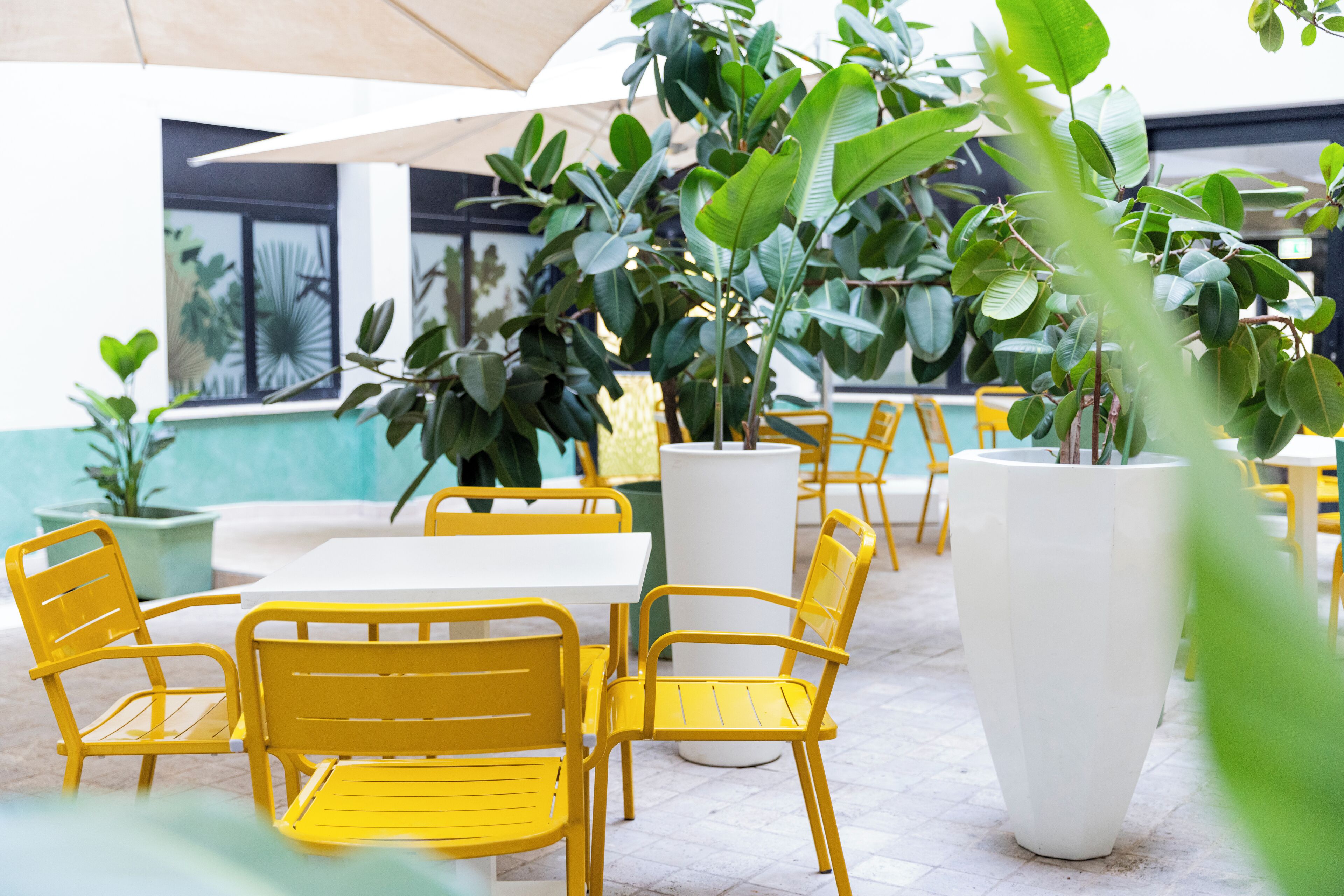 Photo - The Caesar Roma