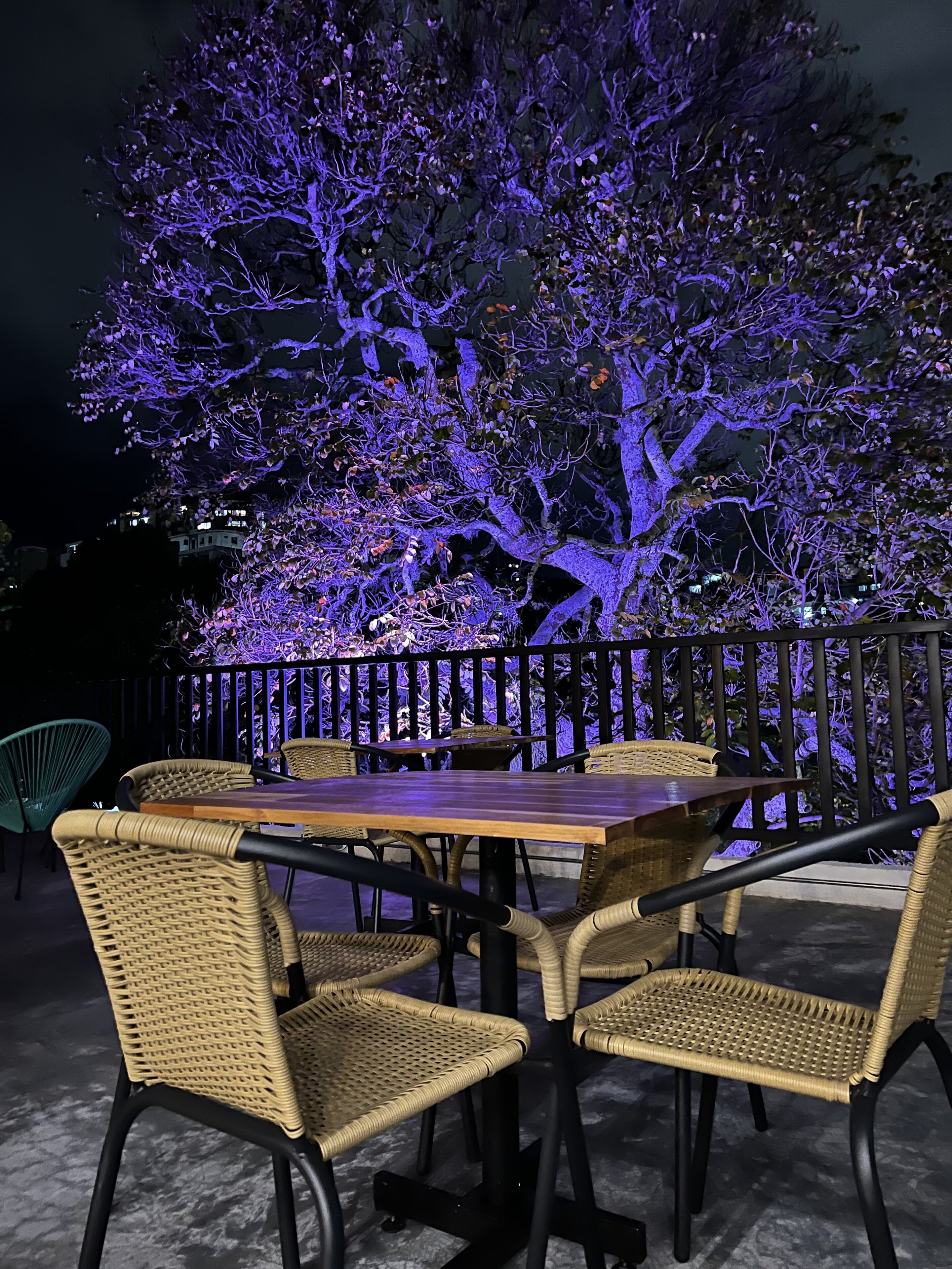 An outdoor seating area with a table and chairs, a tree illuminated with purple lights, and a black metal fence.