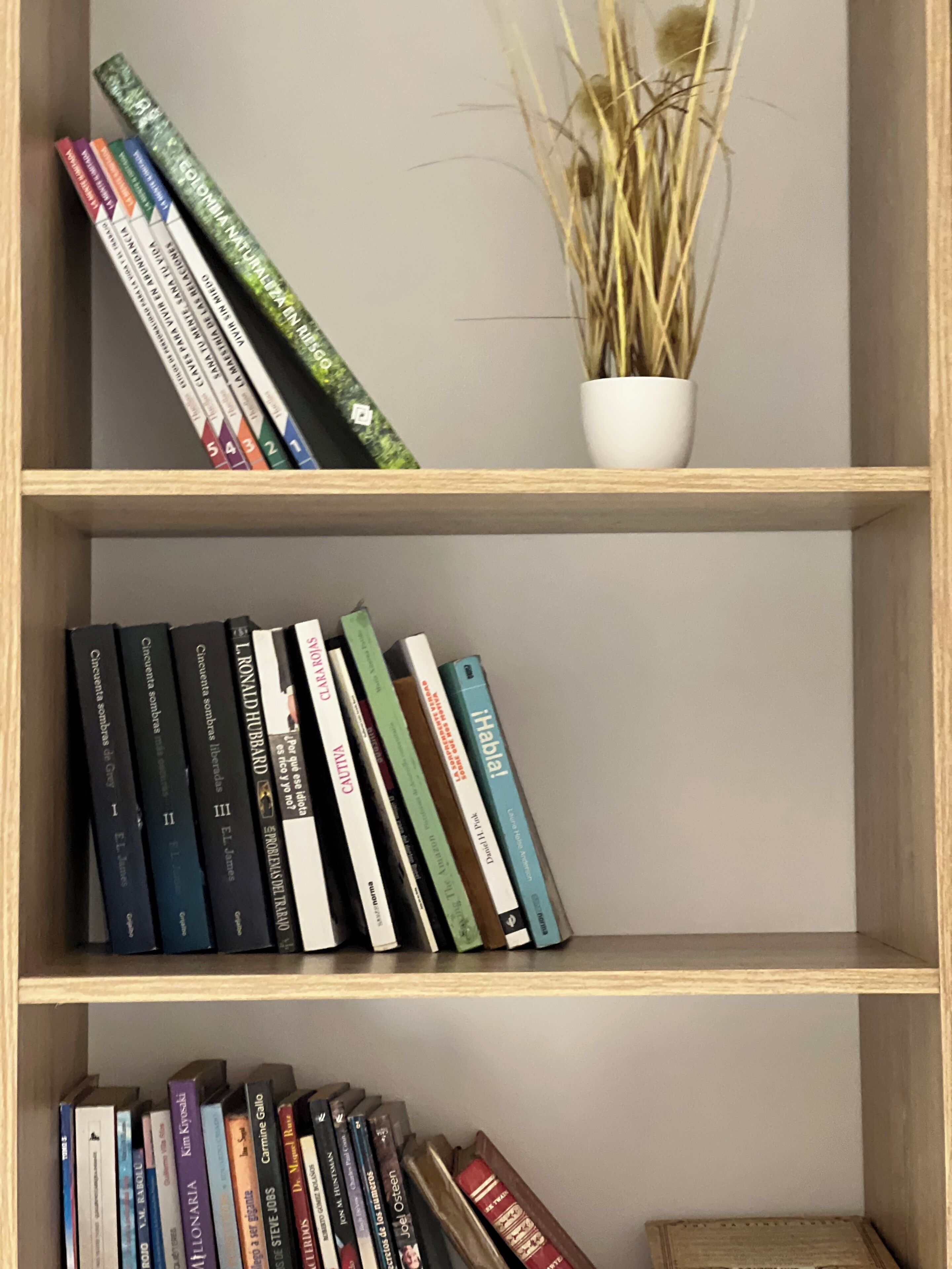 Una estantería con libros y una planta en maceta.