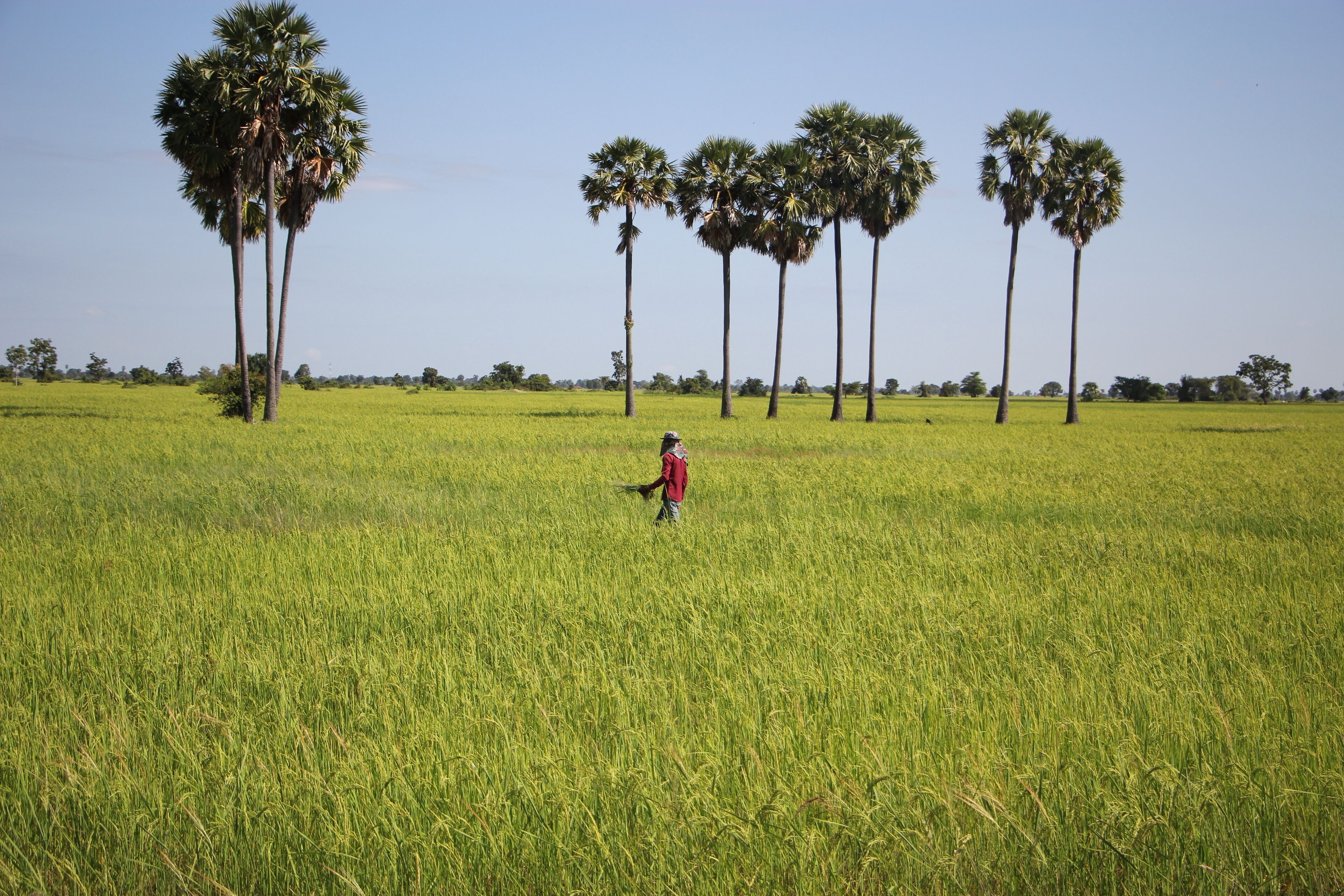 Photo - The Blanc Residence