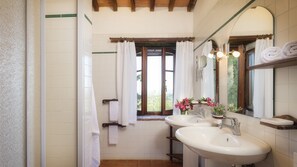 Shower, hair dryer, bidet, towels