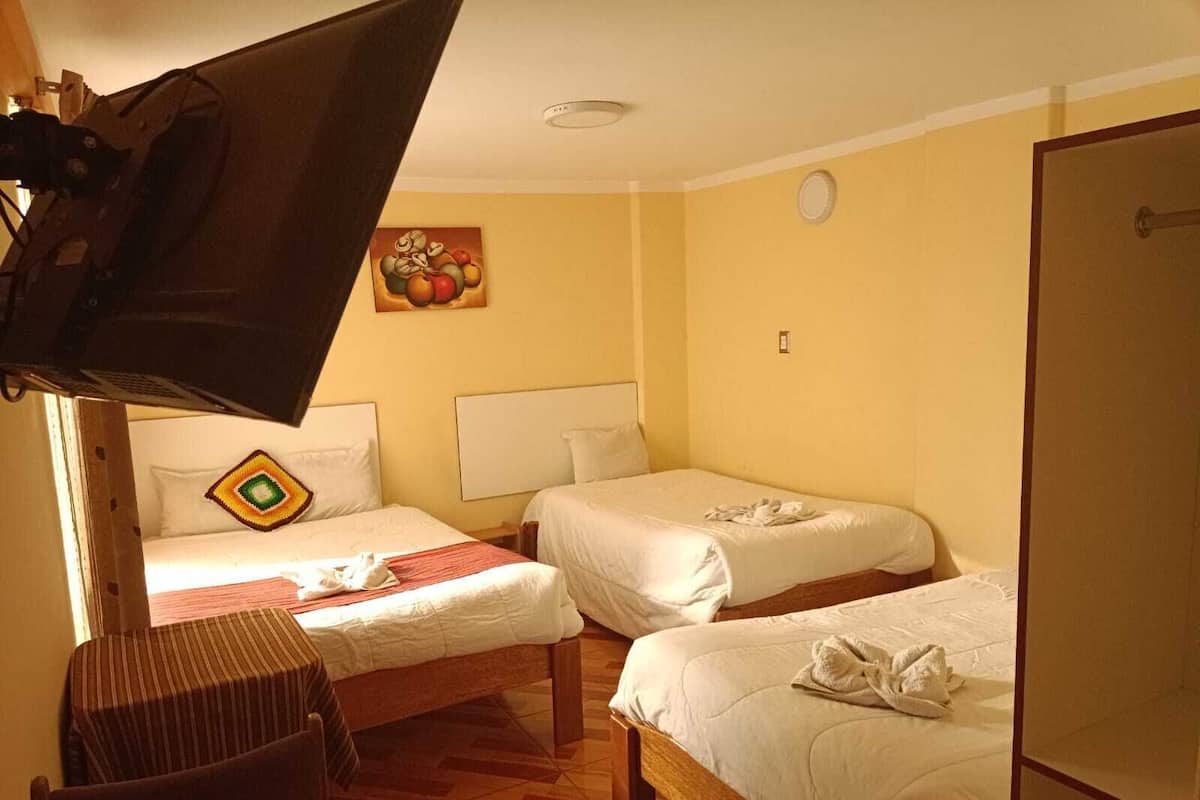 Habitación de hotel con dos camas individuales, una silla de madera, un televisor y un cuadro en la pared.